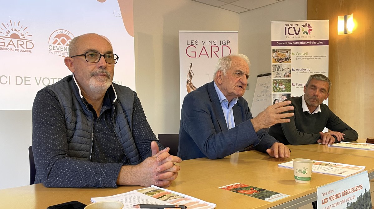 Fédération IGP des vins gardois 2024 (Photo Anthony Maurin)