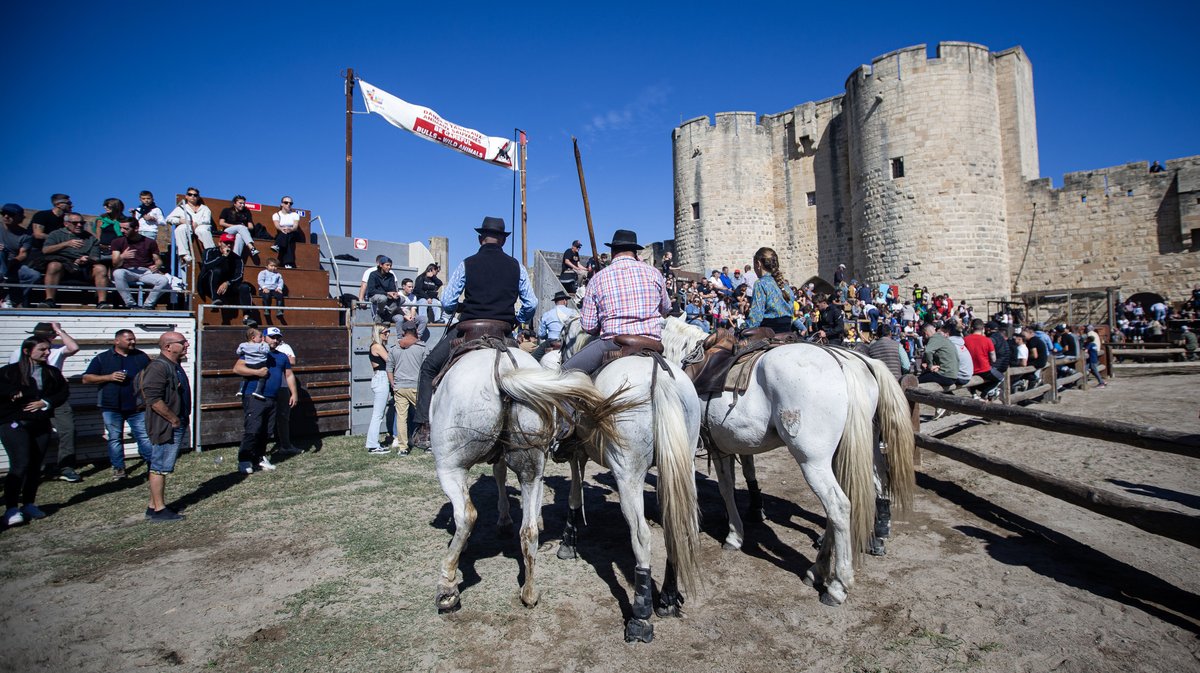 aigues mortes fete votive 2024 (yp)