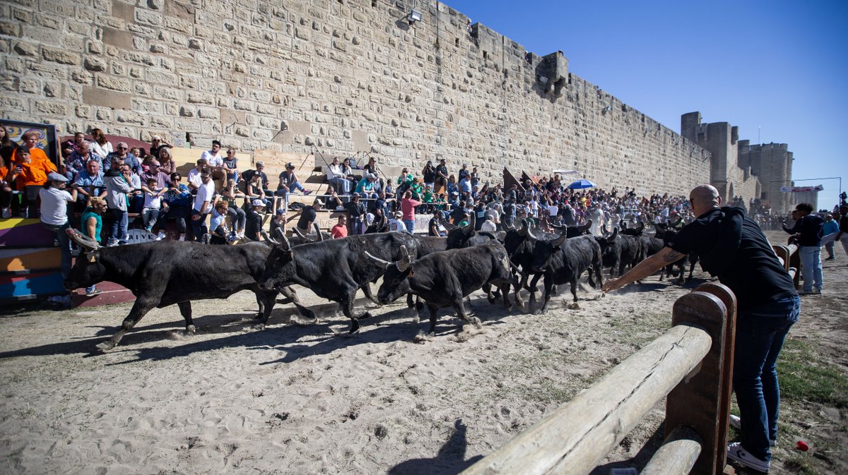 aigues mortes fete votive 2024 (yp)