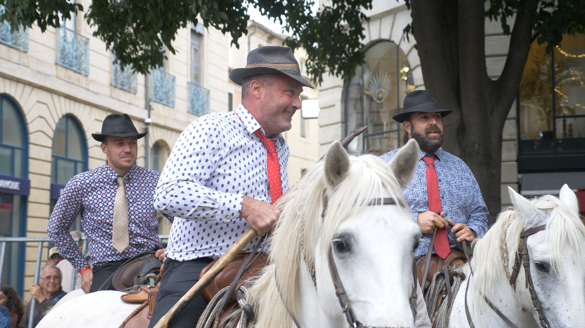 Finale concours d'abrivado Nîmes Métropole ville de Nîmes 2024