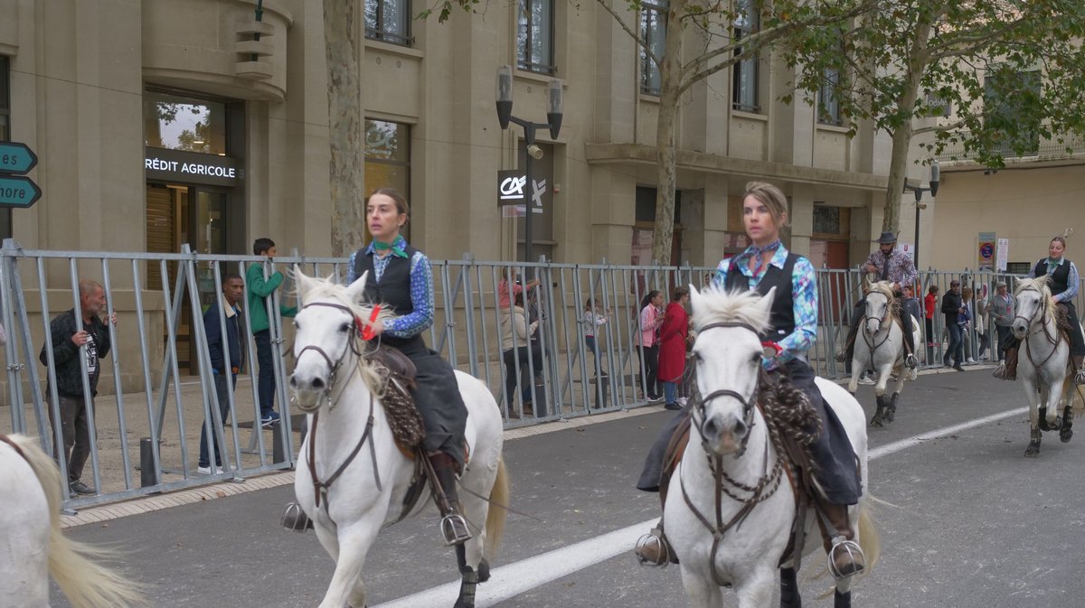 Finale concours d'abrivado Nîmes Métropole ville de Nîmes 2024