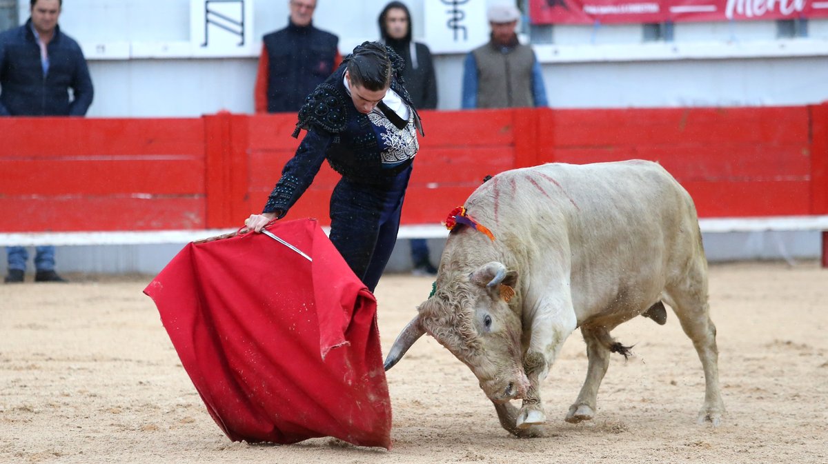 Novillada des Héritiers de François André, Fernay y sus Hijas, Turquay, Roland et Rafi Durand, Alain et Frédérique Tardieu, Jacques Giraud pour Francisco Fernandez, Salvador Herrero et Jorge Hurtado (Photo Anthony Maurin)