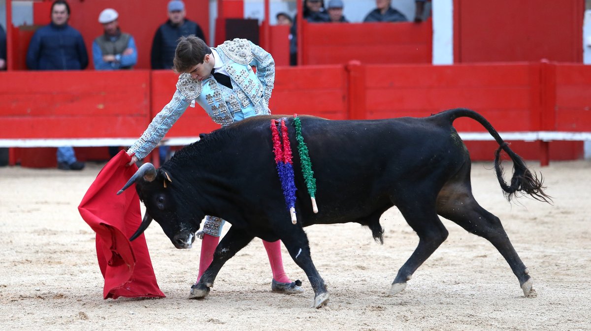 Novillada des Héritiers de François André, Fernay y sus Hijas, Turquay, Roland et Rafi Durand, Alain et Frédérique Tardieu, Jacques Giraud pour Francisco Fernandez, Salvador Herrero et Jorge Hurtado (Photo Anthony Maurin)