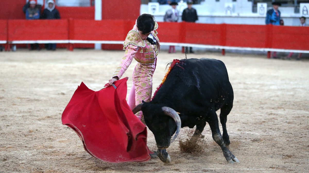 Novillada des Héritiers de François André, Fernay y sus Hijas, Turquay, Roland et Rafi Durand, Alain et Frédérique Tardieu, Jacques Giraud pour Francisco Fernandez, Salvador Herrero et Jorge Hurtado (Photo Anthony Maurin)