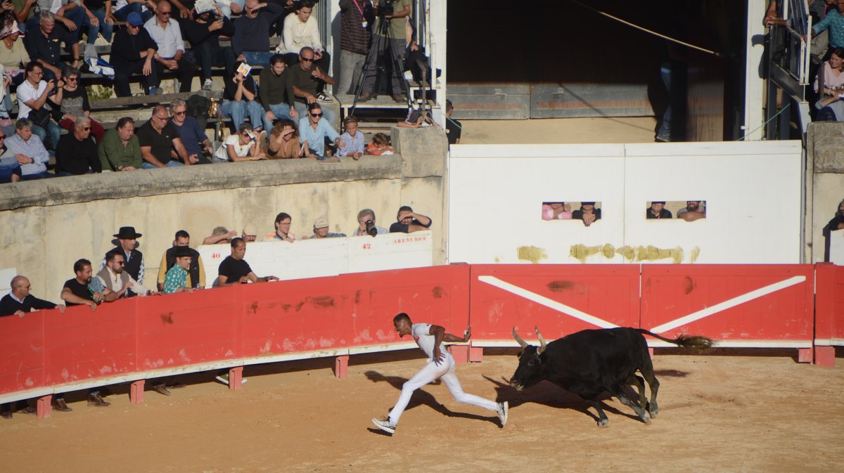 Finale trophée des As 2024