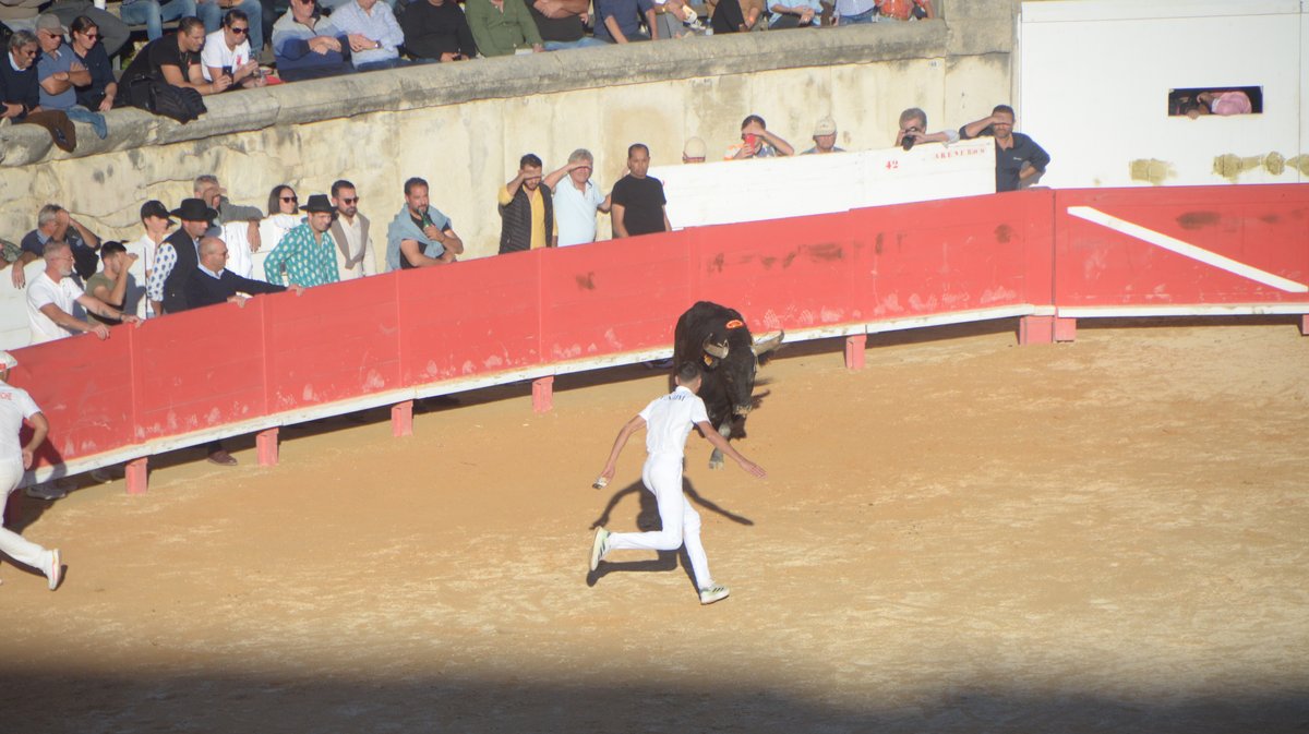 Finale trophée des As 2024