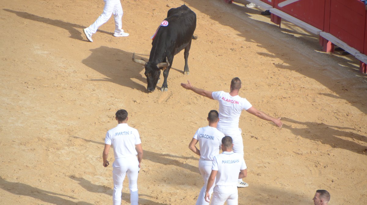 Finale trophée des As 2024