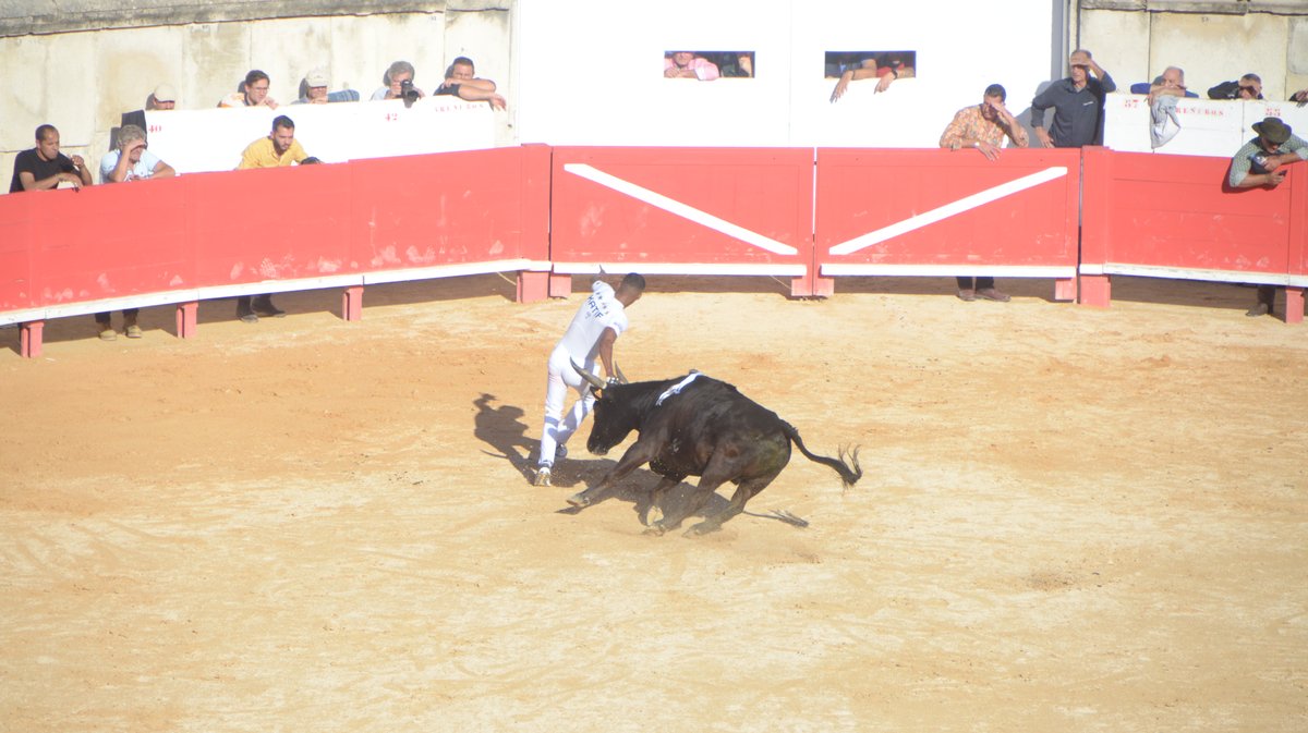 Finale trophée des As 2024