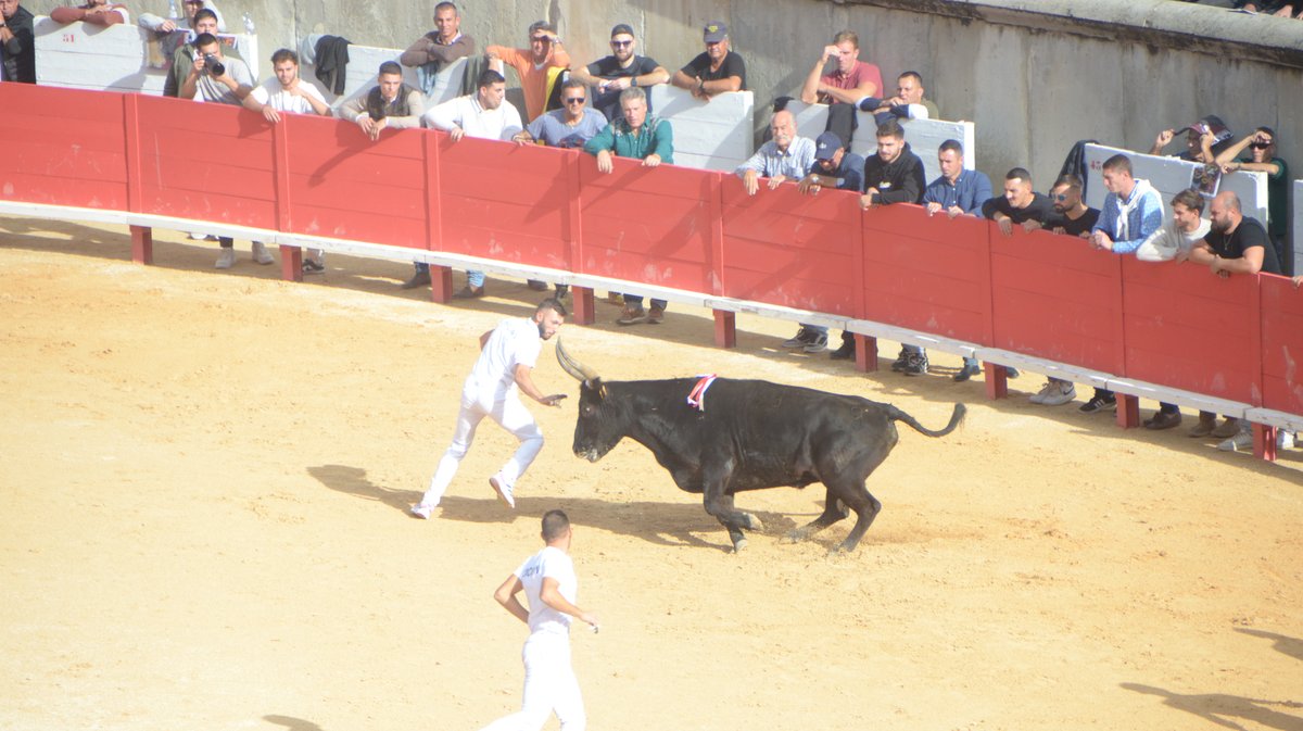 Finale trophée des As 2024