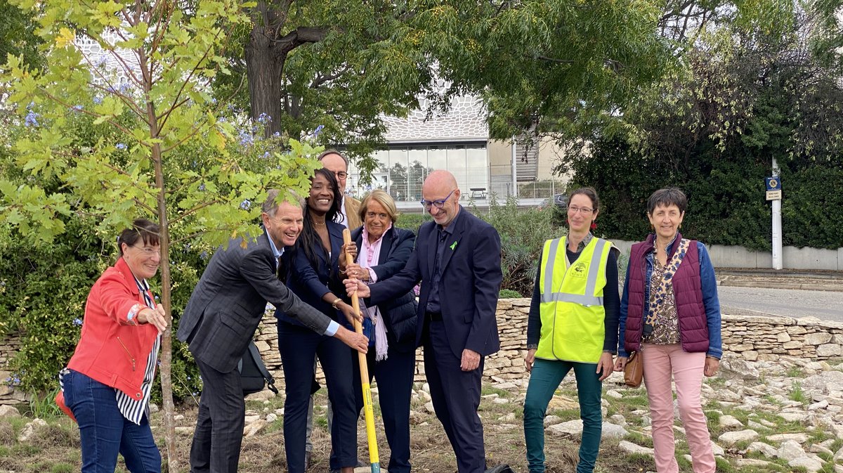 Plantation arbre Nîmes CHU Don d'organe