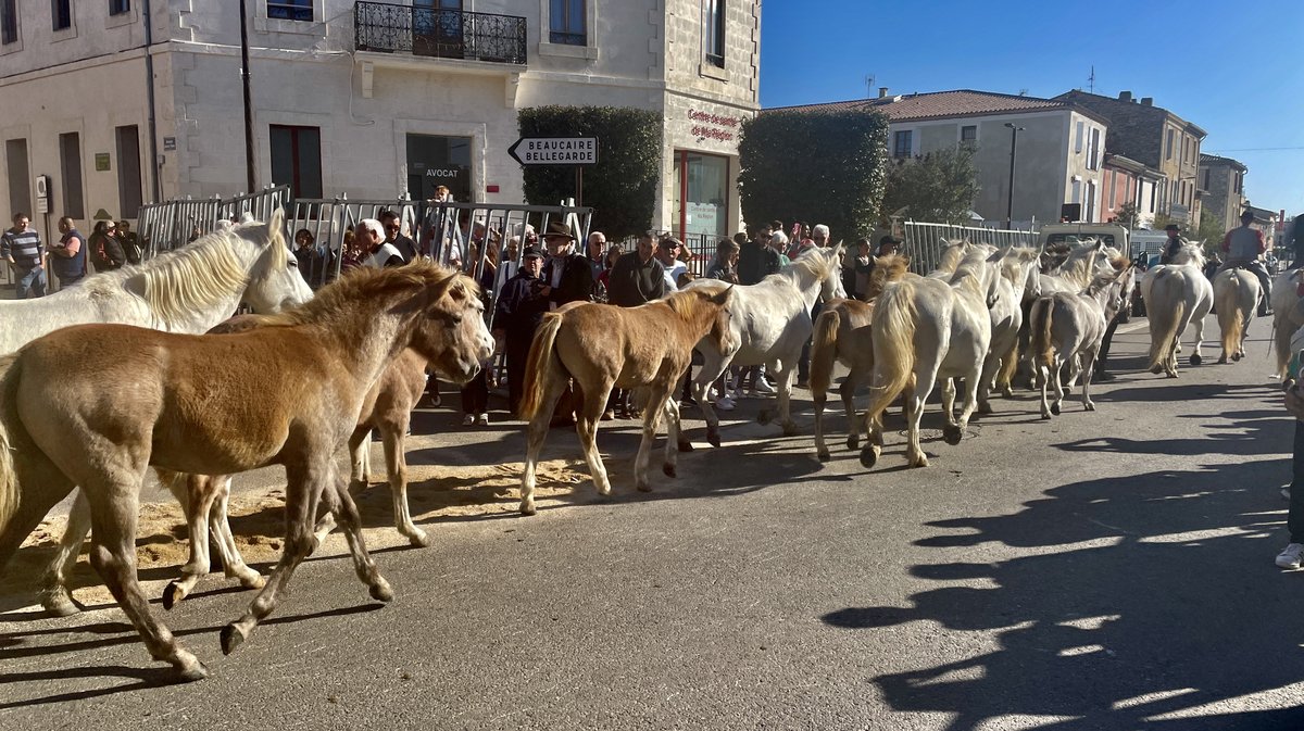 Fête de la Toussaint Saint-Gilles