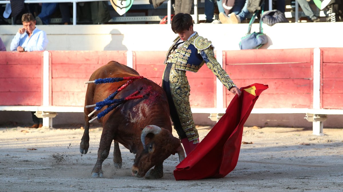 Fourques Novillada sans picadors de La Suerte, Gallon et Pagès-Mailhan pour Victor et Clovis (Photo Anthony Maurin)