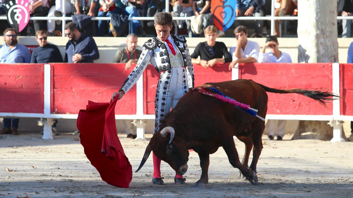 Fourques Novillada sans picadors de La Suerte, Gallon et Pagès-Mailhan pour Victor et Clovis (Photo Anthony Maurin)