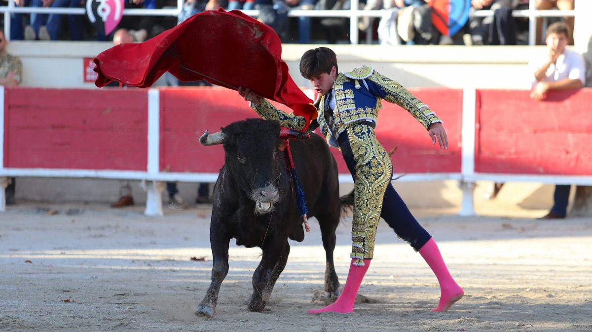 Fourques Novillada sans picadors de La Suerte, Gallon et Pagès-Mailhan pour Victor et Clovis (Photo Anthony Maurin)