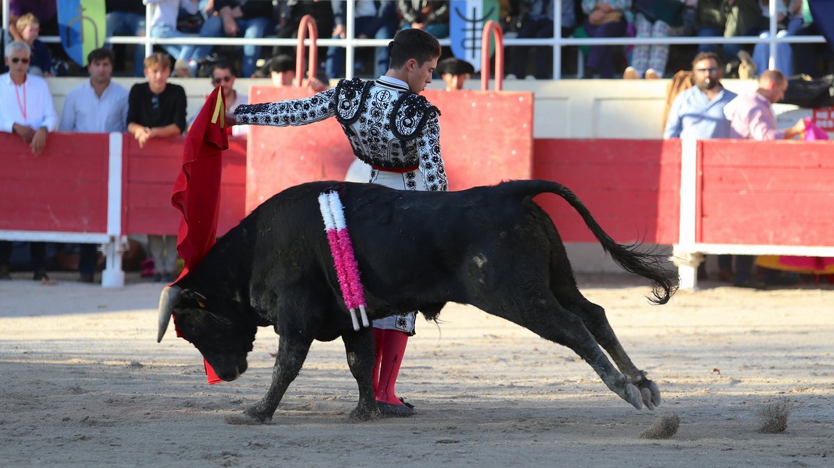 Fourques Novillada sans picadors de La Suerte, Gallon et Pagès-Mailhan pour Victor et Clovis (Photo Anthony Maurin)