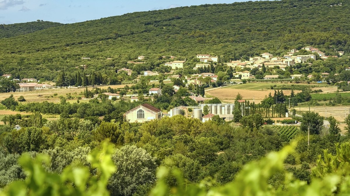 Vins les Capitelles Euzet vignerons (Photo Vignerons des Capitelles)