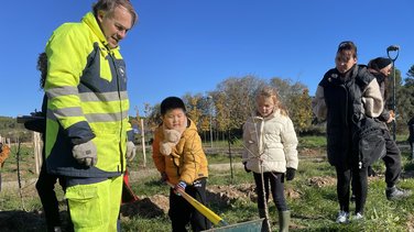 forêt des enfants