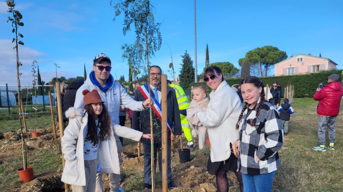 Plantation arbre Rousson