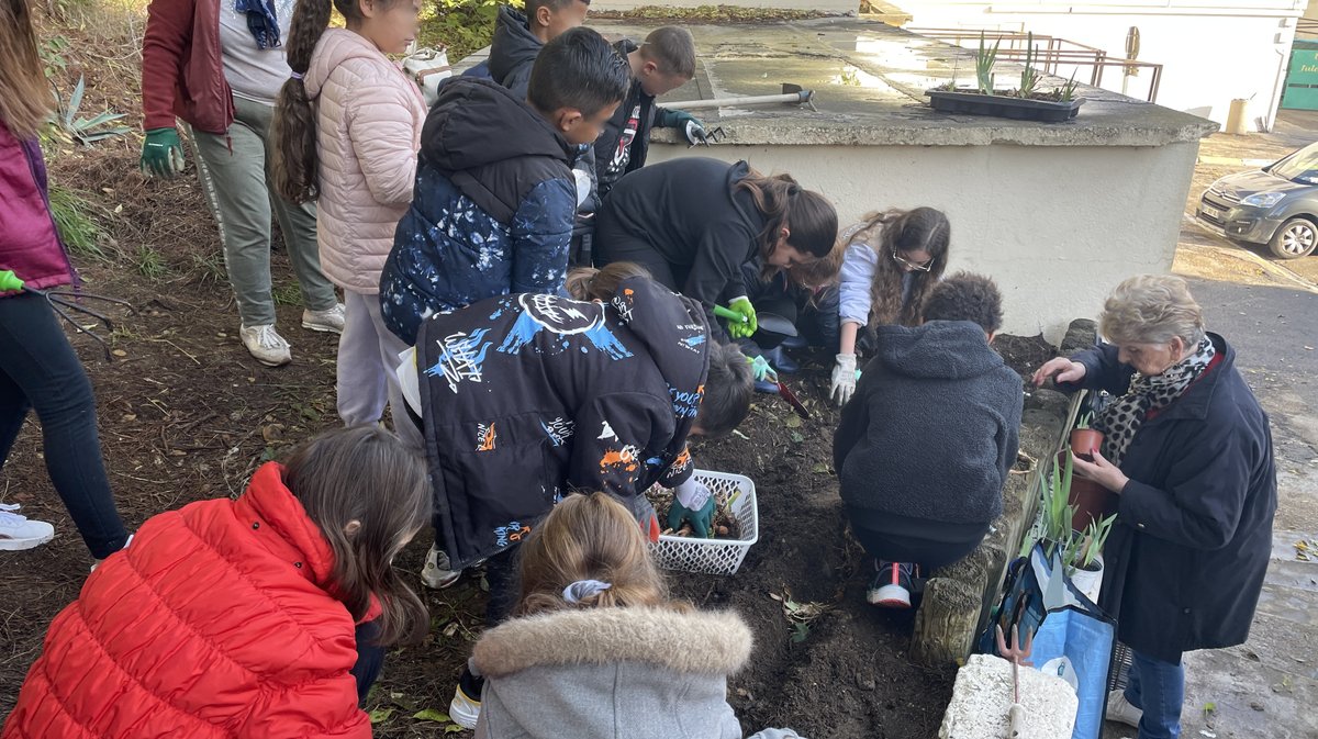 une classe de cm1 de l'école Jules-Ferry a participé au projet de végétalisation de Saint-Gilles