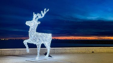 Les illuminations au Grau-Du-Roi