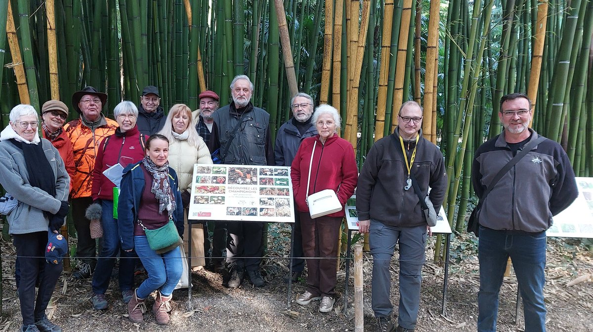 Société Mycologique d'Alès Bambouseraie