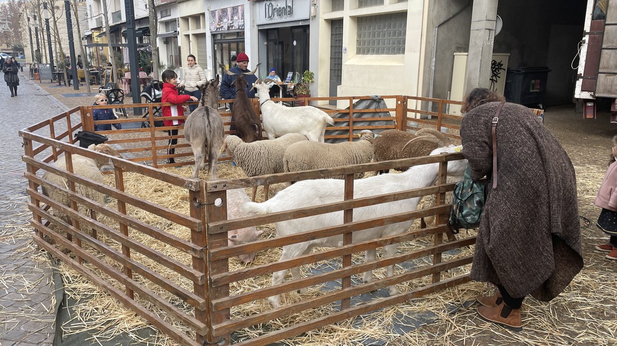 Les Calend'Arles 2024