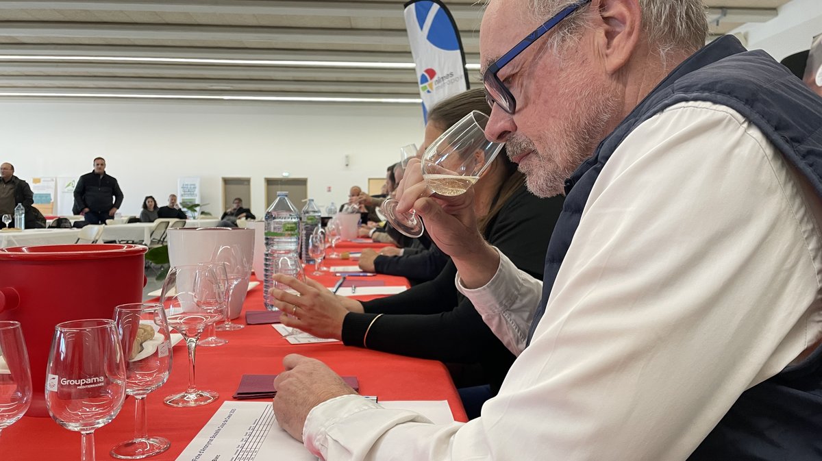 Le 47e concours des Vins de Nîmes et du Gard organisé par les Jeunes Agriculteurs 30 (Photo Anthony Maurin)