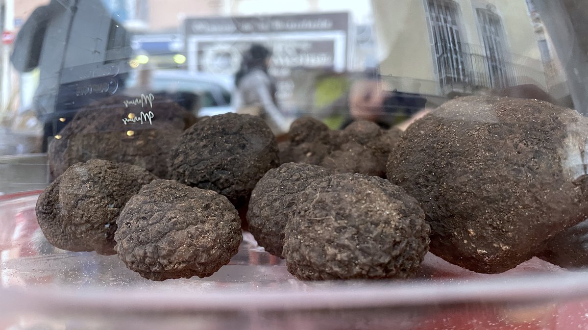 Fête de la truffe 2025 Nîmes (Photo Anthony Maurin)