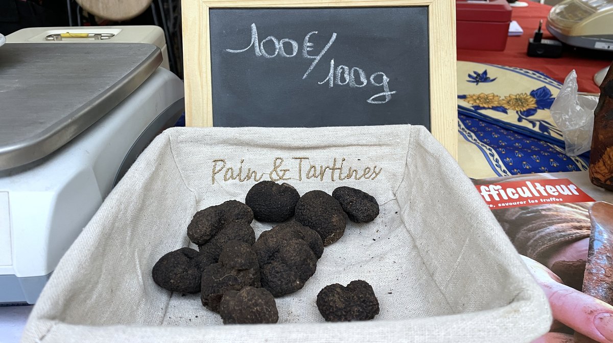 Fête de la truffe 2025 Nîmes (Photo Anthony Maurin)