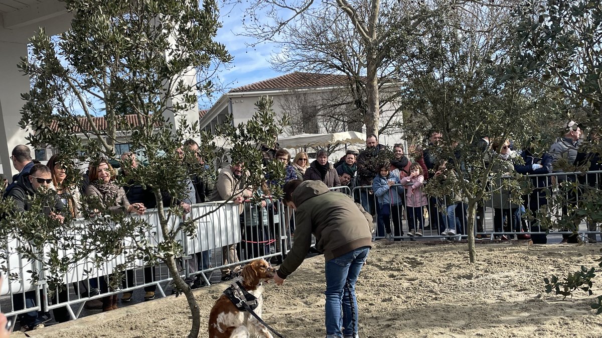 Fête de la Truffe - Saint-Quentin-la-Poterie