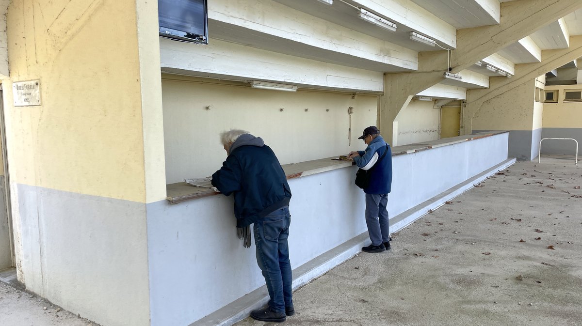 Réunion hippodrome Courbiers 2025 chevaux course hippique (Photo Anthony Maurin)