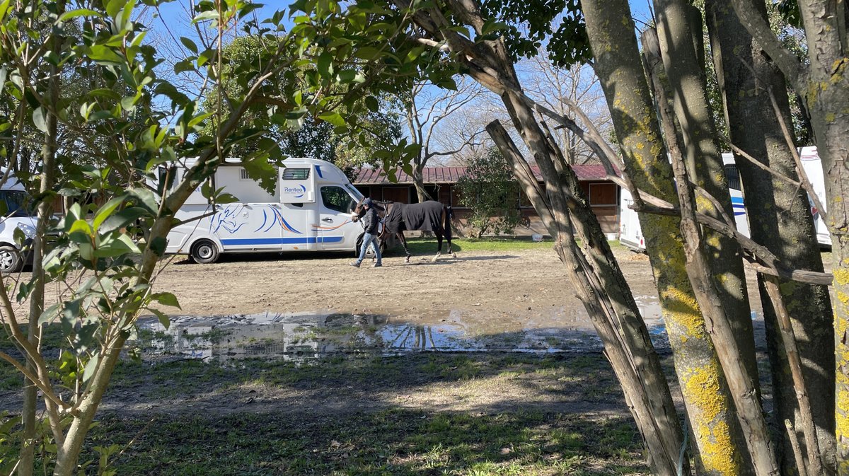 Réunion hippodrome Courbiers 2025 chevaux course hippique (Photo Anthony Maurin)