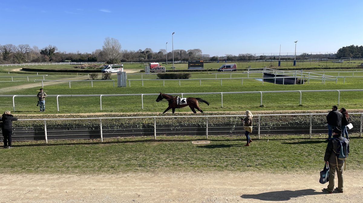 Réunion hippodrome Courbiers 2025 chevaux course hippique (Photo Anthony Maurin)