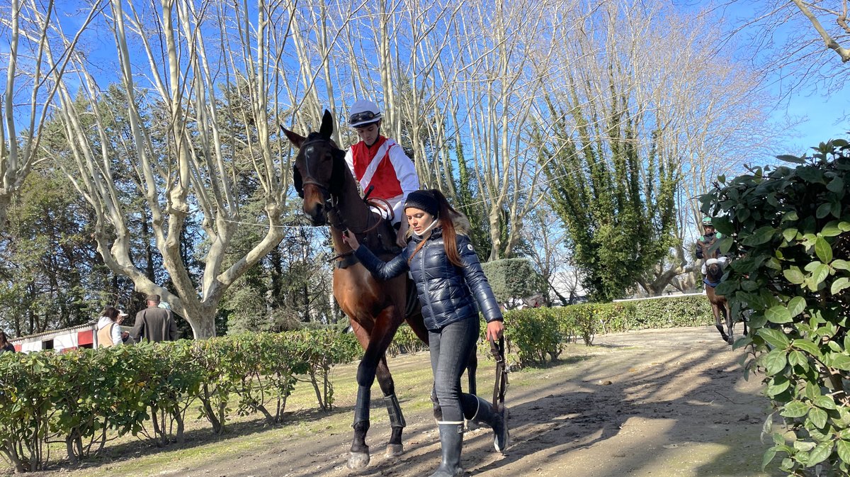 Réunion hippodrome Courbiers 2025 chevaux course hippique (Photo Anthony Maurin)