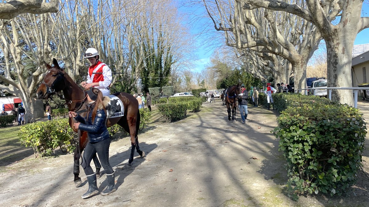 Réunion hippodrome Courbiers 2025 chevaux course hippique (Photo Anthony Maurin)