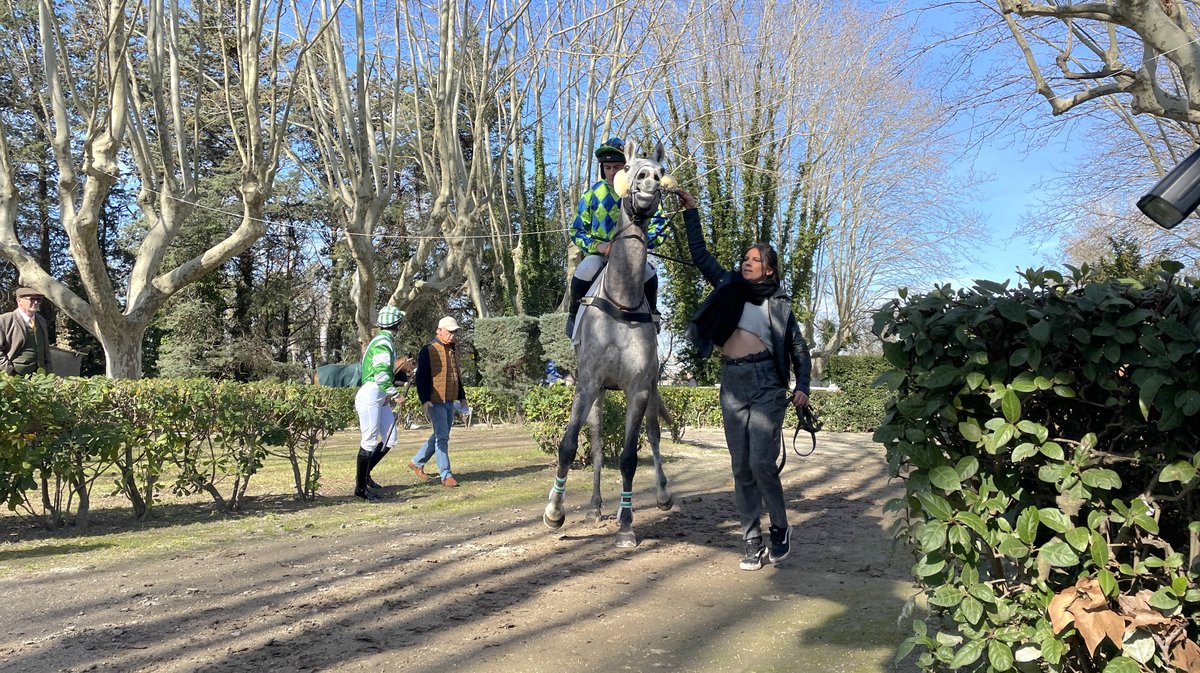 Réunion hippodrome Courbiers 2025 chevaux course hippique (Photo Anthony Maurin)