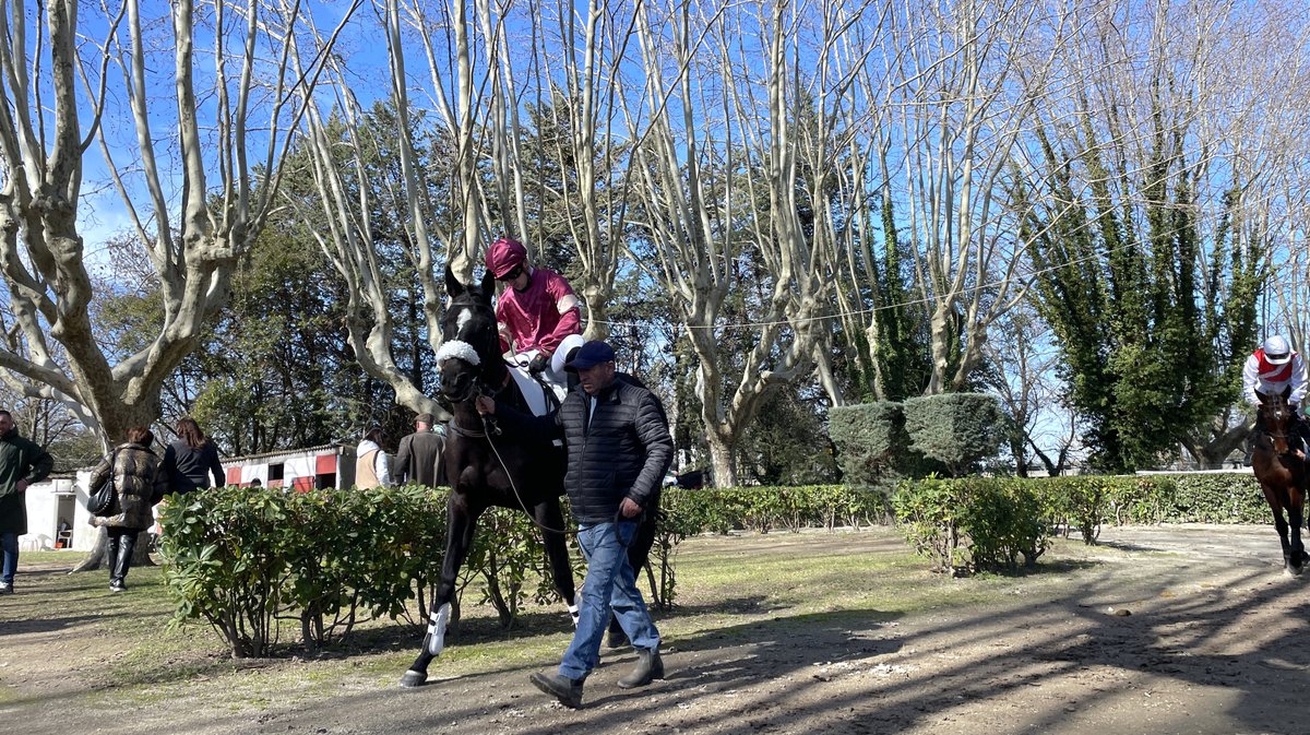 Réunion hippodrome Courbiers 2025 chevaux course hippique (Photo Anthony Maurin)