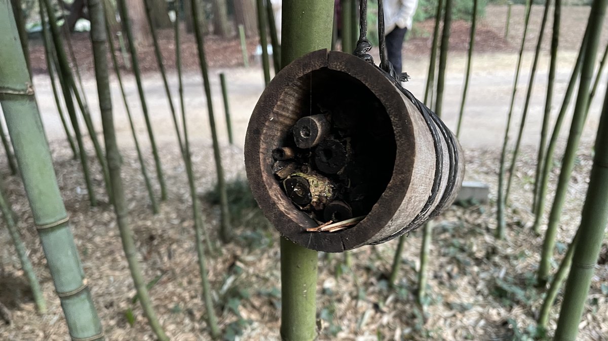 Un abri à insectes, un tronçon de bambou avec des branches de sureau à la Bambouseraie en Cévennes