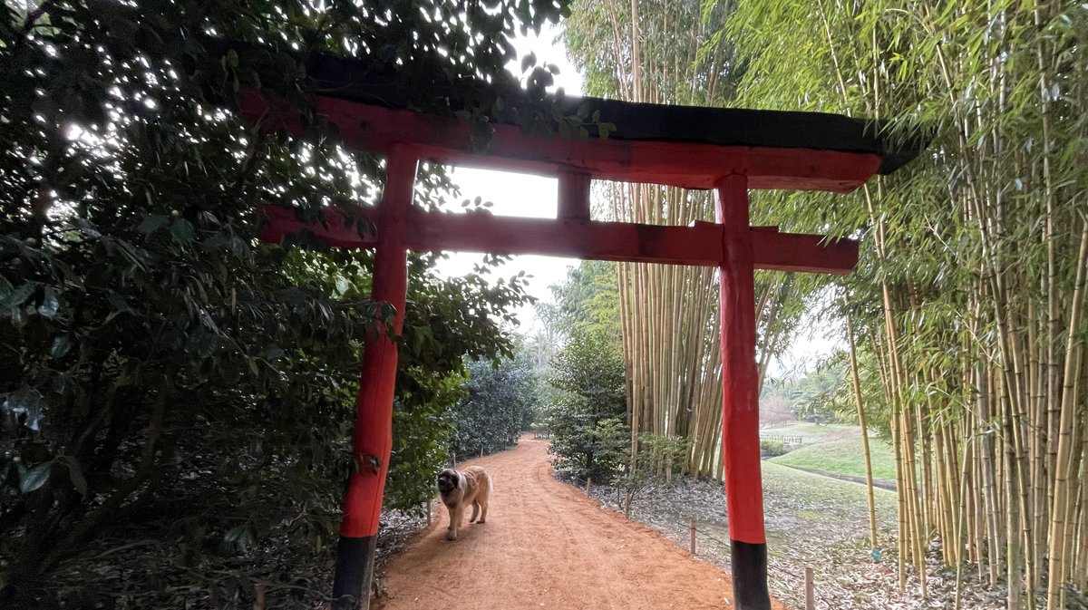 L'entrée du jardin japonais de la Bambouseraie en Cévennes