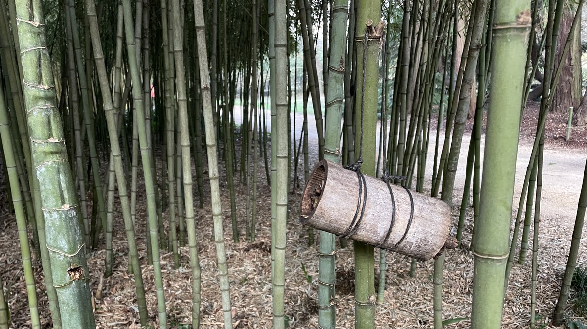 Un abri à insectes, un tronçon de bambou avec des branches de sureau à la Bambouseraie en Cévennes