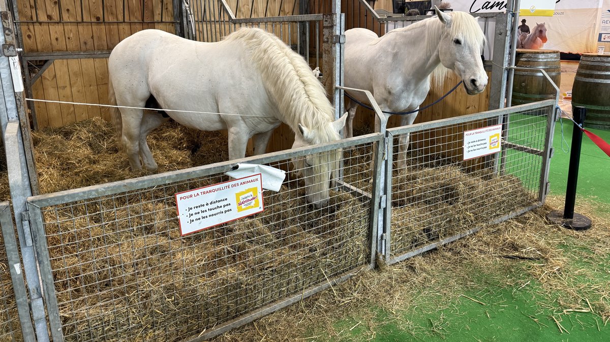 Salon de l'Agriculture 2025