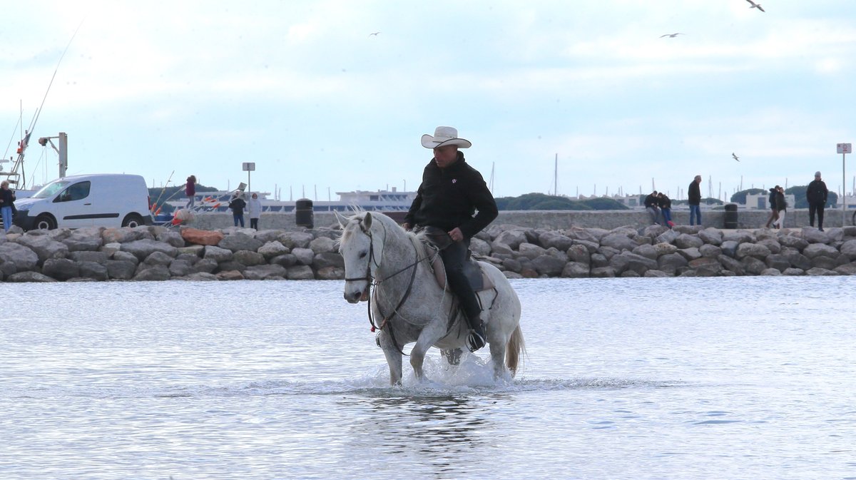 Abrivado des plages saison taurine 2025 Grau-du Roi (Photo Anthony Maurin)