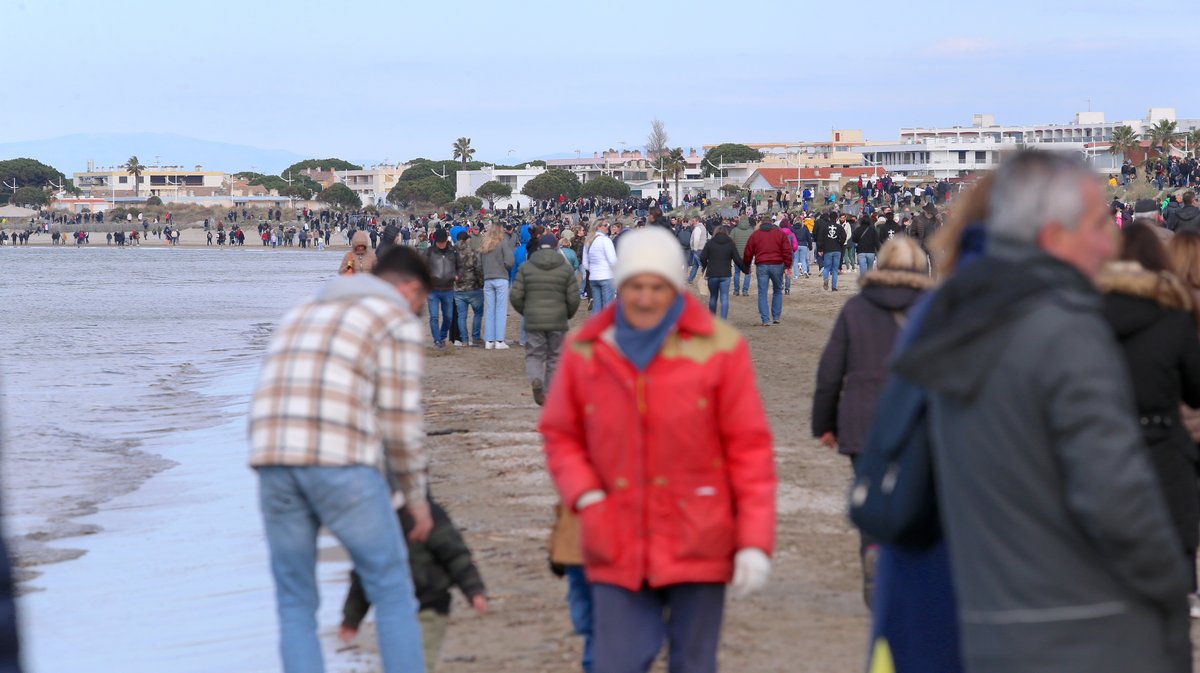 Abrivado des plages saison taurine 2025 Grau-du Roi (Photo Anthony Maurin)