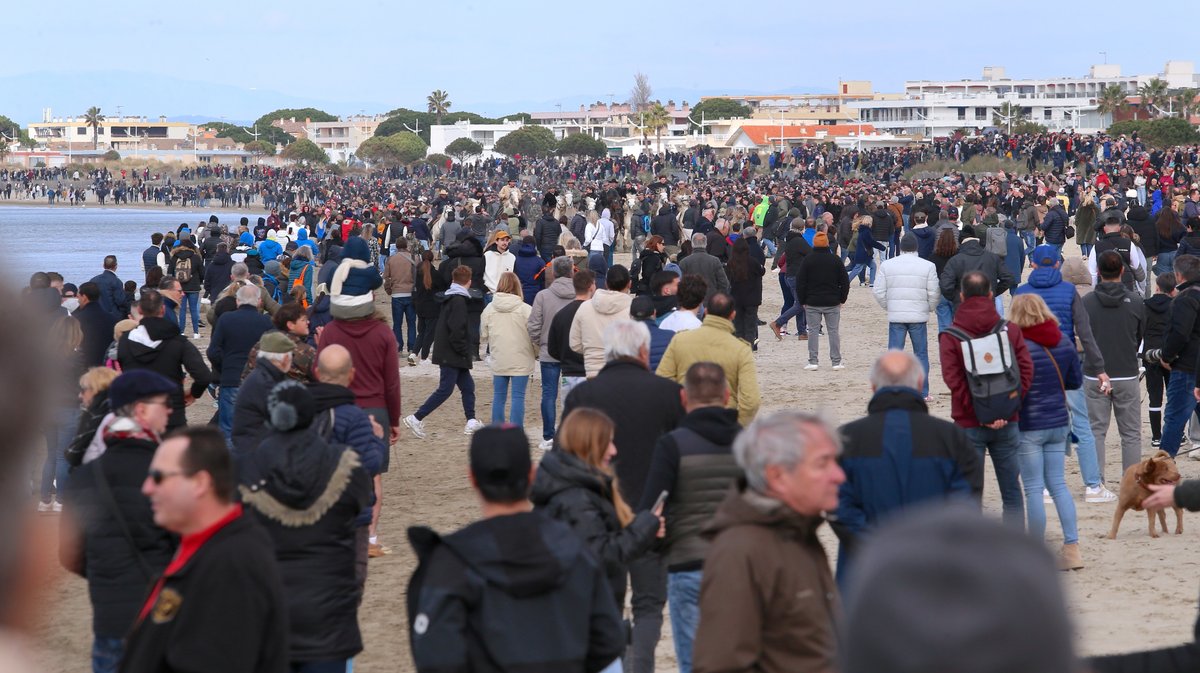 Abrivado des plages saison taurine 2025 Grau-du Roi (Photo Anthony Maurin)