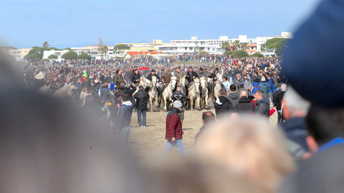 Abrivado des plages saison taurine 2025 Grau-du Roi (Photo Anthony Maurin)