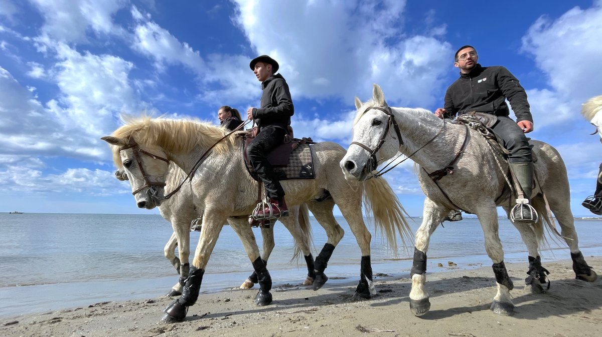 Abrivado des plages saison taurine 2025 Grau-du Roi (Photo Anthony Maurin)