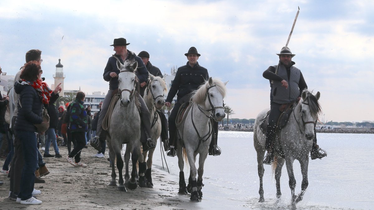 Abrivado des plages saison taurine 2025 Grau-du Roi (Photo Anthony Maurin)