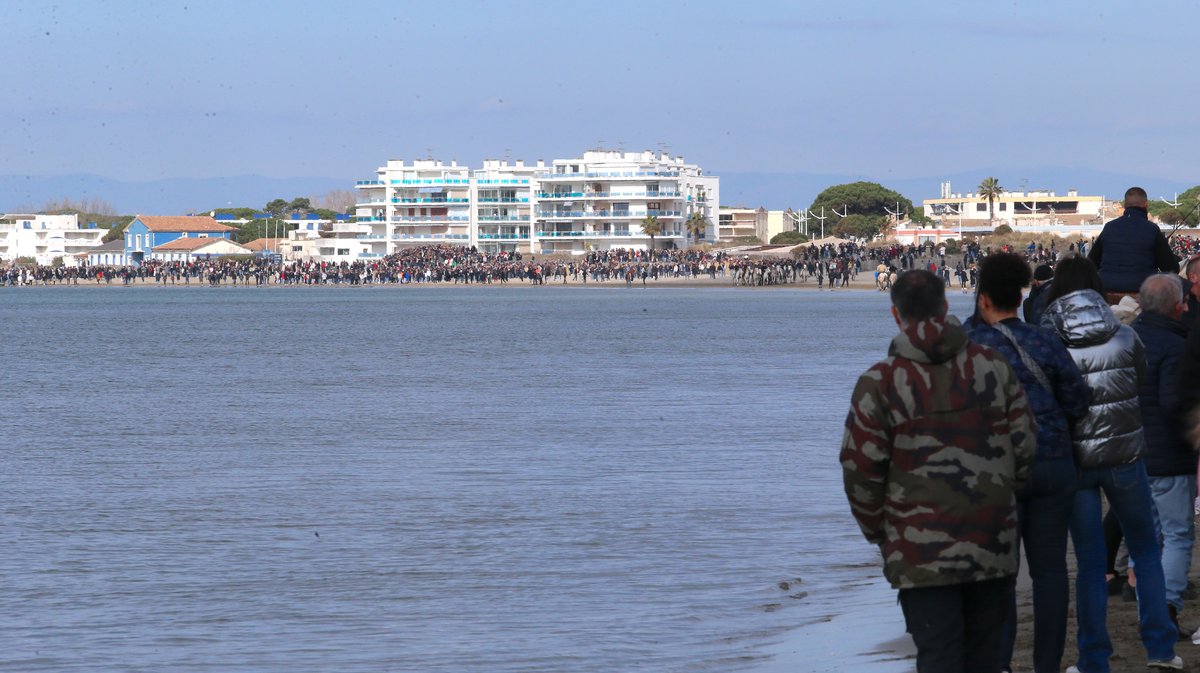 Abrivado des plages saison taurine 2025 Grau-du Roi (Photo Anthony Maurin)