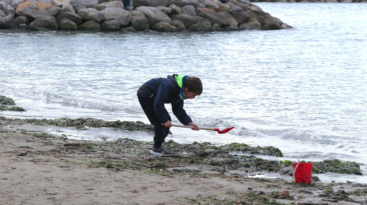 Abrivado des plages saison taurine 2025 Grau-du Roi (Photo Anthony Maurin)