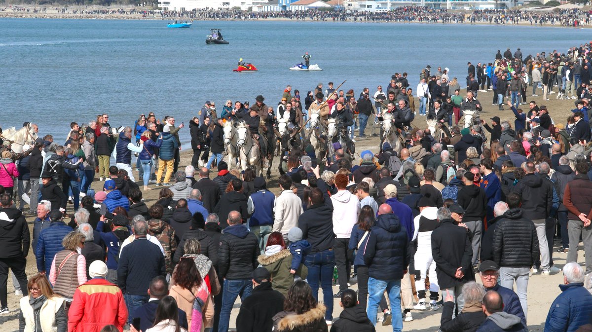 Abrivado des plages saison taurine 2025 Grau-du Roi (Photo Anthony Maurin)